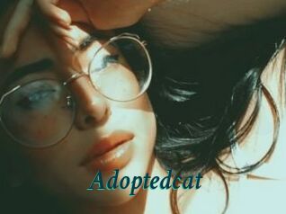 Adoptedcat