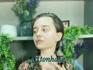 Aftonhase