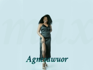 Agnesawuor