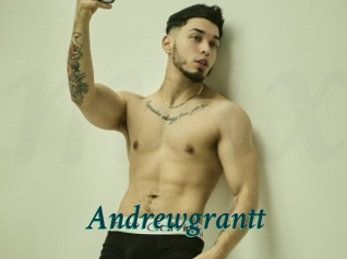 andrewgrantt Maxi Top Sexe