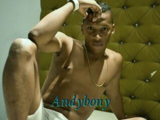 Andybony
