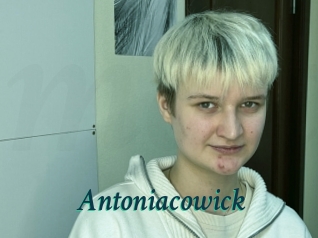 Antoniacowick
