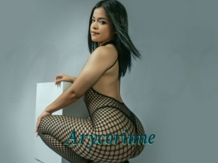 arycorinne Maxi Top Sexe