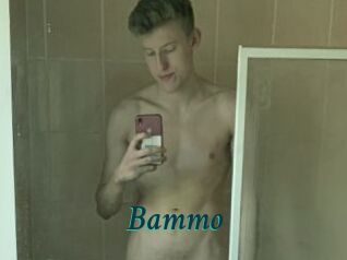 Bammo