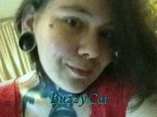Buzzy_Cat
