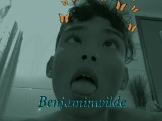 Benjaminwilde