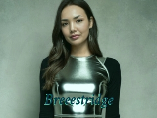 Breeestridge