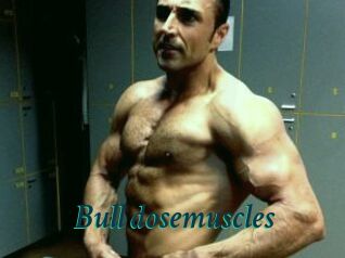 Bull_dosemuscles