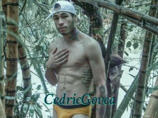 CedricGovea