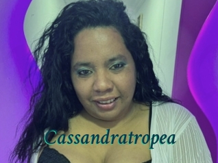 Cassandratropea
