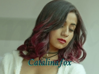 Catalinafox