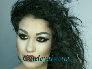 Cateleyaluana