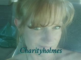 Charityholmes