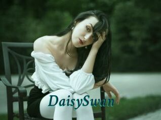 DaisySwan