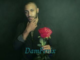 DamFenix
