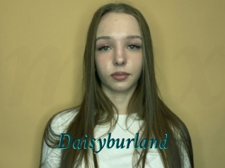 Daisyburland