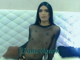 Dania_blosom