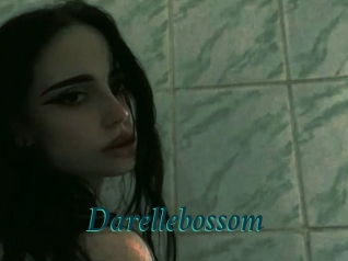 Darellebossom
