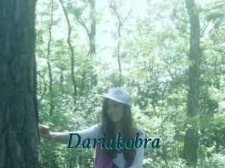 Dariakobra
