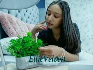 EllieVelvett