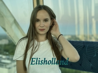 Elisholland