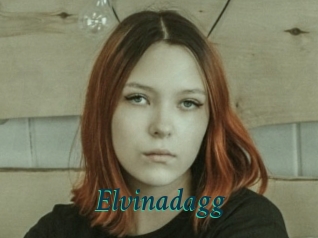 Elvinadagg