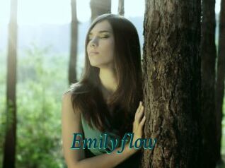 Emilyflow