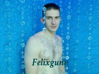 Felixgunn