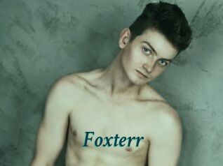Foxterr