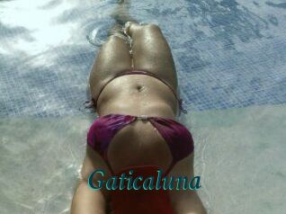 Gaticaluna