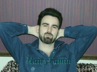 HairyTamin