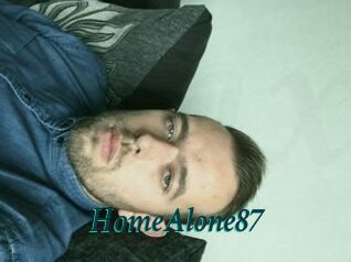 HomeAlone87