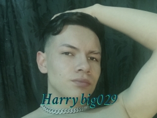 Harry_big029