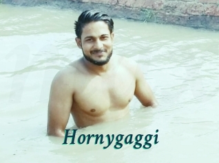 Hornygaggi
