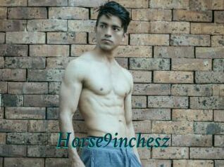 Horse9inchesz
