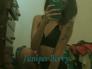 Juniper_Berry
