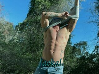 Jackal