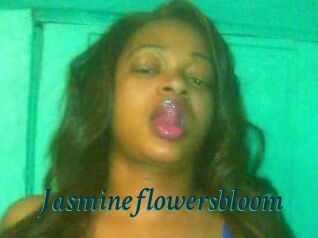 Jasmineflowersbloom