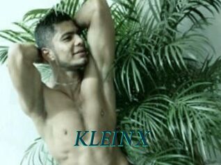 KLEINX