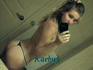 Kaebug