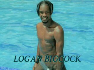 LOGAN_BIGCOCK