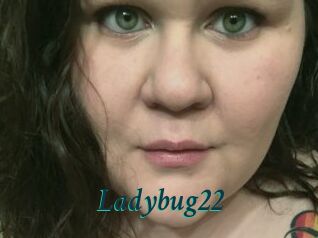 Ladybug22