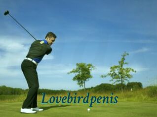 Lovebirdpenis