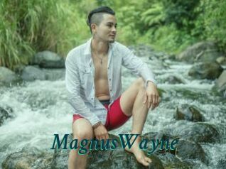 MagnusWayne