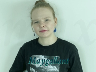 Maygallant
