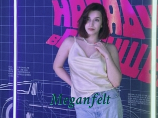 Meganfelt