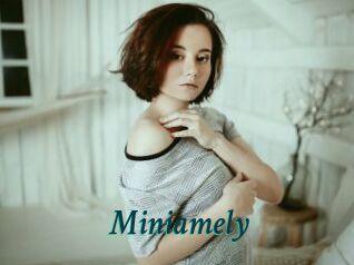 Miniamely