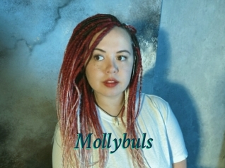 Mollybuls