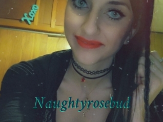 Naughtyrosebud