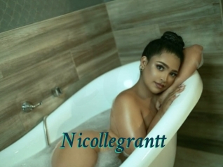 nicollegrantt Maxi Top Sexe